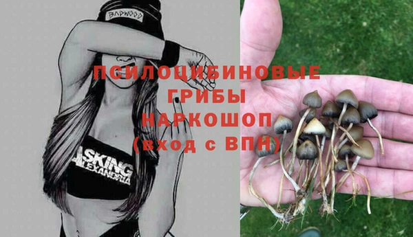 трава Алзамай