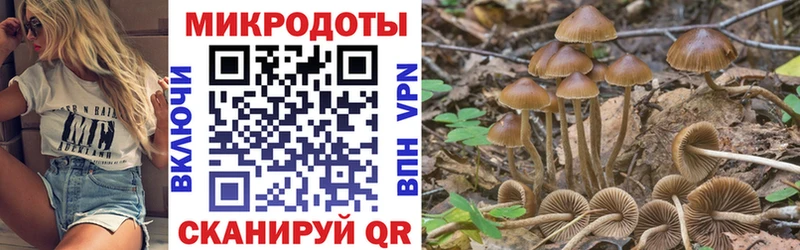Галлюциногенные грибы Psilocybine cubensis  наркота  Балашиха 
