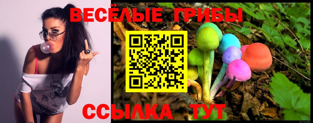 Балашиха  Псилоцибиновые грибы мицелий  Галлюциногенные грибы прущие грибы  Вход с VPN 