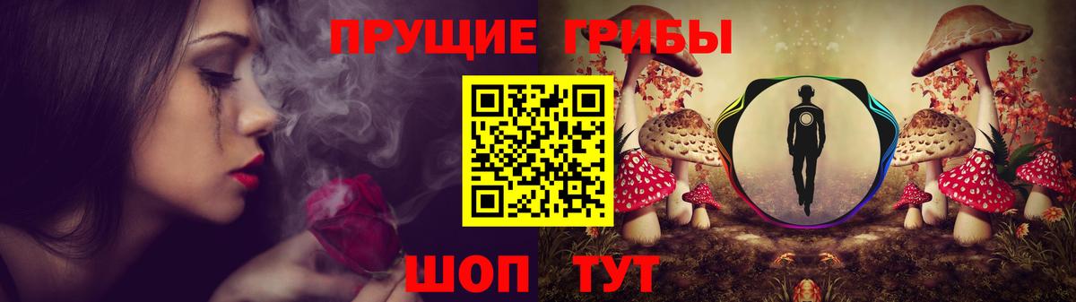 Галлюциногенные грибы Cubensis Балашиха